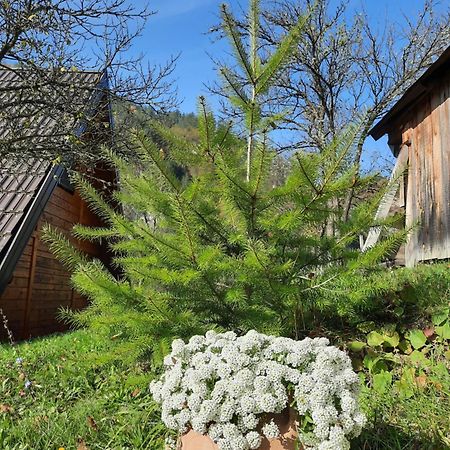 Вилла Vikendica Neven Zaovine Экстерьер фото